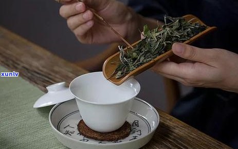 陈仓普洱茶饼：一种独特的普洱茶 *** 工艺及其文化内涵解析