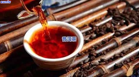 普洱茶城信息网：探索普洱茶文化、购买茶叶、品鉴茶艺的全方位指南