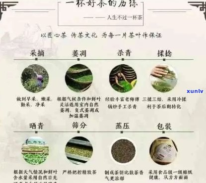 普洱茶城信息网：探索普洱茶文化、购买茶叶、品鉴茶艺的全方位指南