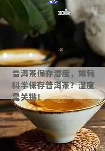 普洱茶保存的湿度及环境因素全解析，助您打造存条件