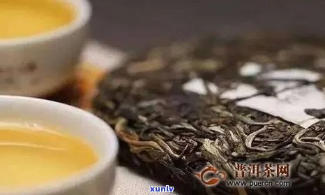 新 普洱茶保存的理想度与湿度：如何维持其独特风味？