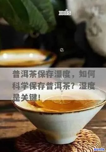 普洱茶存放的湿度及环境条件详解，让你的茶叶保持品质