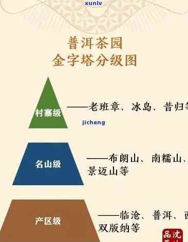 生普洱茶的等级划分：从入门级到珍藏级别的品质探究