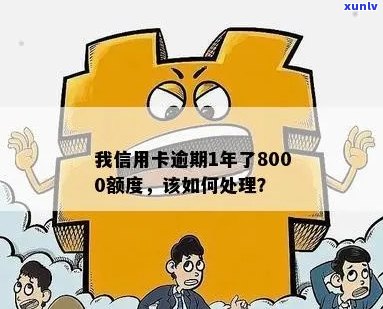 信用卡逾期一年，额度8000元：如何解决还款问题并恢复信用？