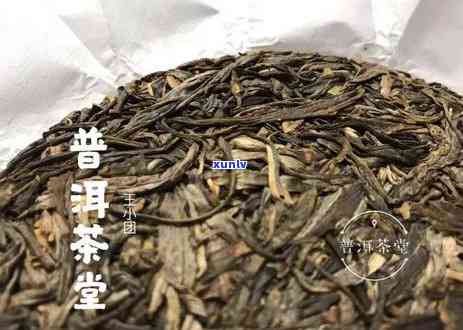 '普洱茶长毛了还能喝吗？女生和老人适合饮用吗？'