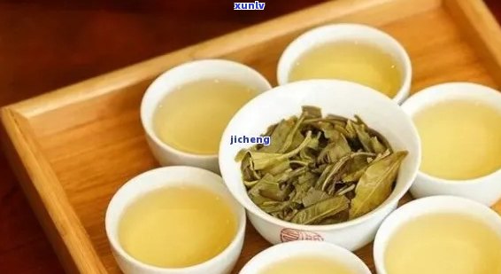 深度解析：普洱茶的醇厚口感与独特风味，你真的尝过吗？