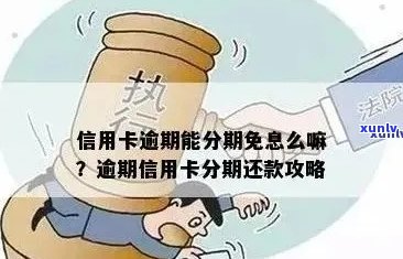 新信用卡逾期还款是否可以分期解决？