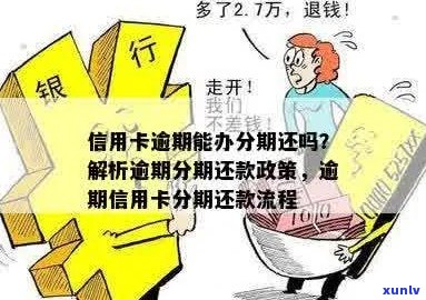 新信用卡逾期还款是否可以分期解决？