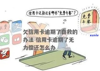 信用卡逾期还款无法分期，该如何应对？