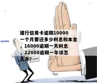 信用卡10000逾期一年，一共要还多少钱利息和本金？