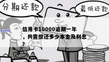 信用卡10000逾期一年，一共要还多少钱利息和本金？