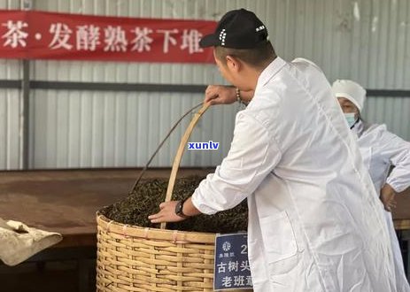 普洱茶价格、品质及班章茶王的详细解析，助你挑选最适合的茶品