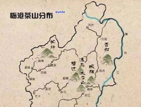 探究普洱茶六大茶山的独特魅力：产地、工艺与口感的完美融合