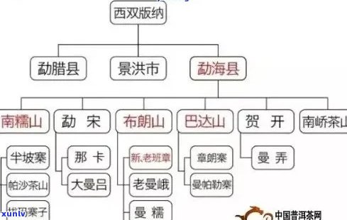 探究普洱茶六大茶山的独特魅力：产地、工艺与口感的完美融合