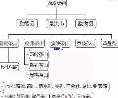 普洱茶六大茶山特性解析：如何选购与品鉴高品质普洱茶？