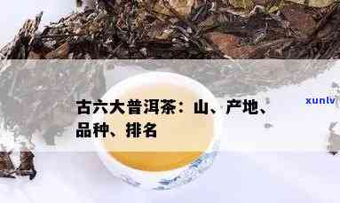 普洱六大茶山：各产地茶叶品种详解，助您轻松挑选正宗好茶