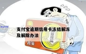 信用卡逾期后，微信支付功能会被冻结？这是真的吗？