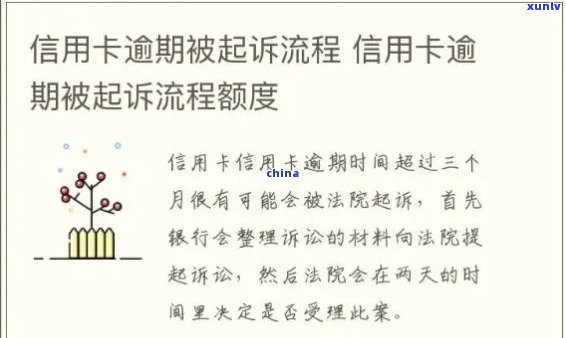 当信用卡逾期被法院抓走后，你需要了解的解决方案和后续处理流程