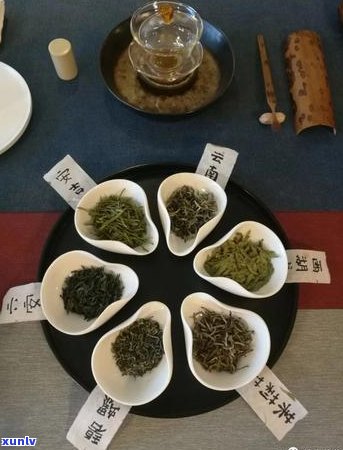 普洱茶的祛湿功效：科学解析与实际应用