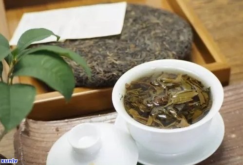 普洱茶的去湿气功效：科学解析与实际效果探究