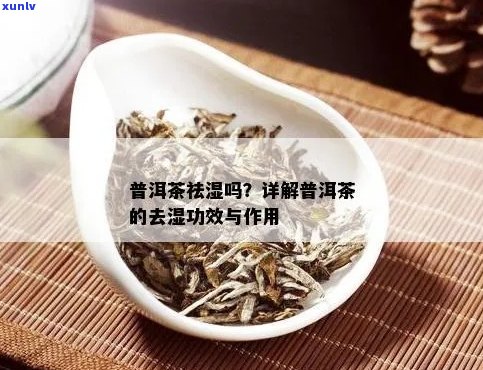 普洱茶：除湿功效、作用机制及适用人群全面解析