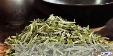 济南市的普洱茶