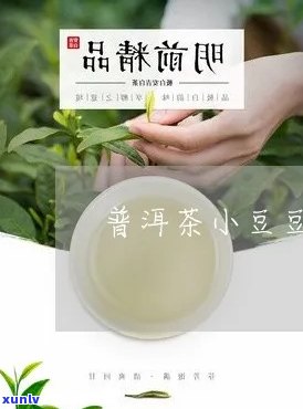 普洱茶包装像小豆豆的是什么？