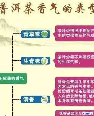 新 普洱茶体感之谜：科学解析其独特的口感和风味形成的深层原因