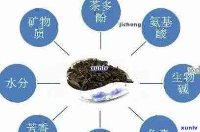 新 普洱茶体感之谜：科学解析其独特的口感和风味形成的深层原因