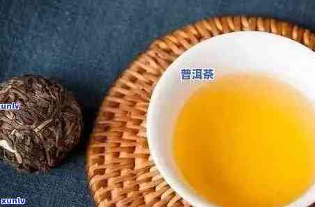 新 普洱茶体感之谜：科学解析其独特的口感和风味形成的深层原因