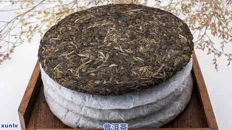 新正宗普洱茶价格区间分析，每斤多少钱？