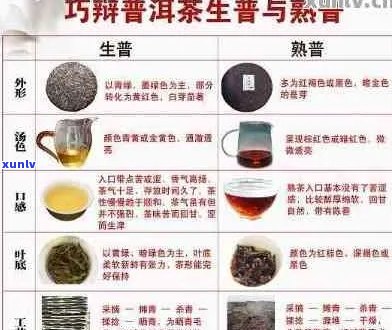 普洱茶价格区间及影响因素解析：了解各种价位的普洱茶及其品质差异