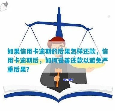 信用卡逾期还款后果如何应对？