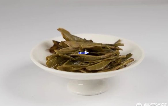 如何通过观察普洱茶叶底的特征来鉴别其品质和年份？