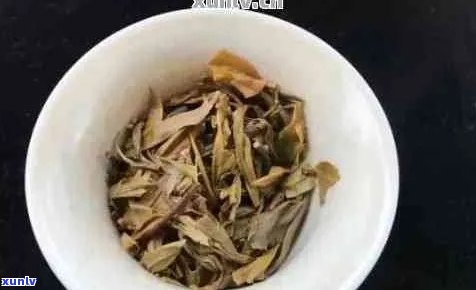 普洱茶怎么看茶底好坏，发霉？