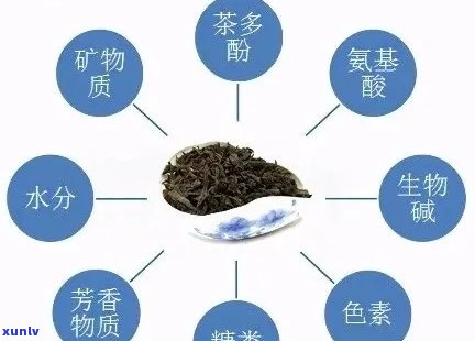 普洱茶含氟量超标吗？女生能喝吗？关于普洱茶的氟含量问题，请专家解答。