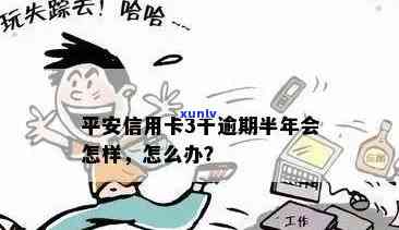 人生就像陈年普洱茶：岁月沉淀的韵味与哲理