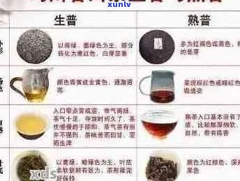 兰香与普洱茶的异同解析：深入了解两者的区别与联系