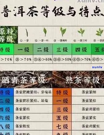 '兰香普洱生茶价格查询表，了解最出名的兰香普洱以哪茶品种最为知名'