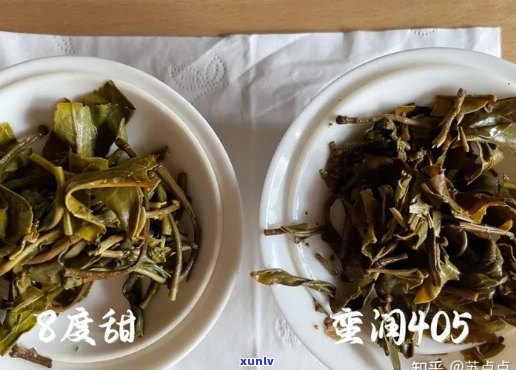 氏普洱茶全系列评测：哪款口感？