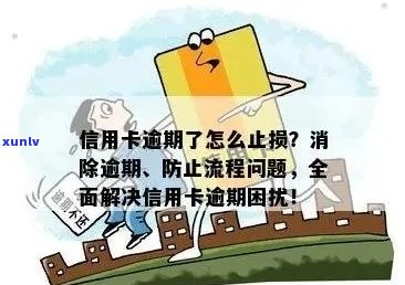 逾期信用卡困扰，如何有效应对？