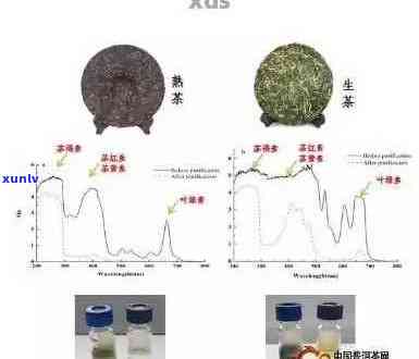 普洱茶黄曲霉菌超标致癌：隐藏的健风险