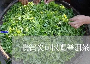 食管炎女性可以喝茶叶茶吗？百度百科