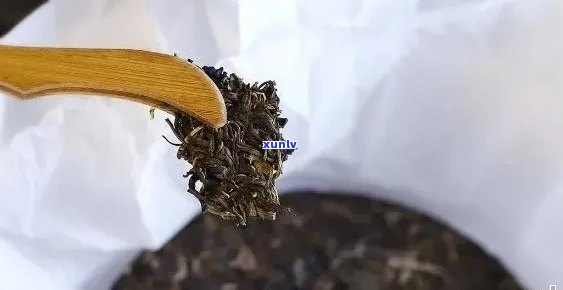 详细步骤教你如何轻松分解普洱茶饼，品尝其独特的香气与口感