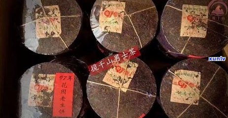 全面解析：如何轻松分解普洱茶茶饼，让你成为泡茶达人