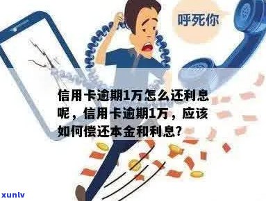 行用卡逾期利息多少：一天、怎么算、一万是否可归还本息