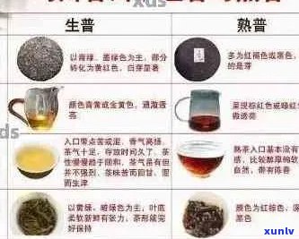 全面品鉴96真雅普洱茶：口感、年份、产地等详解，助您挑选最适合的普洱茶