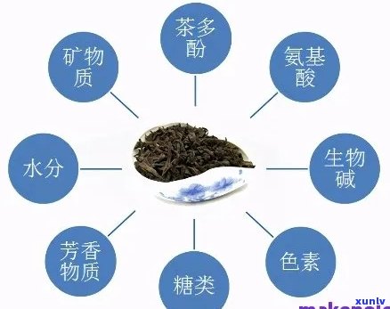 普洱茶：分解的神奇力量？为什么它在解药中扮演重要角色？