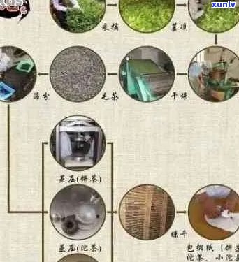 普洱茶能分解吗？为什么？ - 百度百科