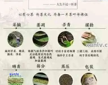 普洱茶能分解吗？为什么？ - 百度百科